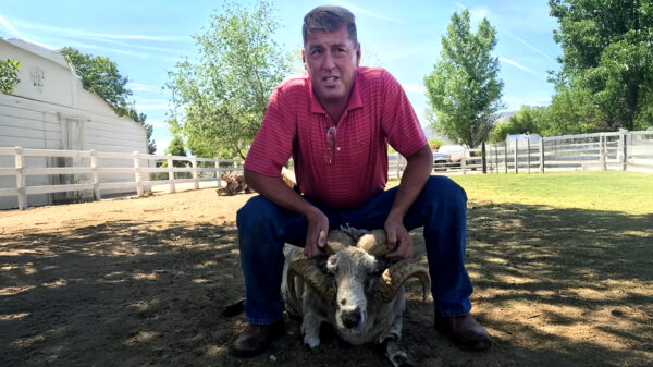 Dierenarts mishandelt paard in virale video en wordt week erna dood aangetroffen in meer