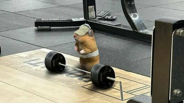 Picdump (4052)