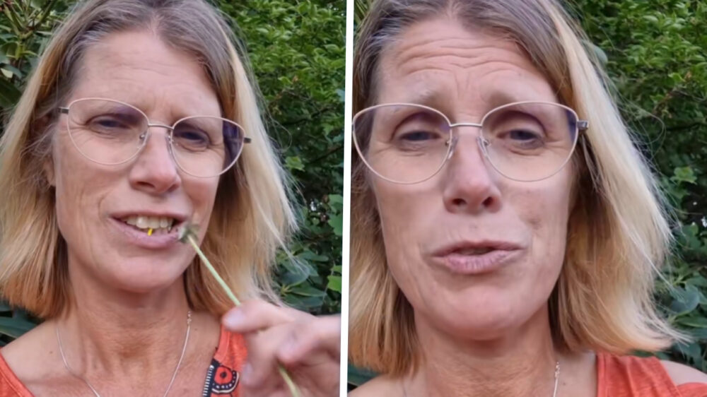 Levenscoach Corina geeft heldere instructie voor het ontgiftigen van je lever