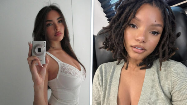 Glamour, drama en aandachtsnood: Het circus draait weer op volle toeren dankzij deze 18 celebs