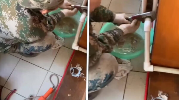 Badkamer in subtropisch zwemparadijs veranderd? Picobello BV fixt het!