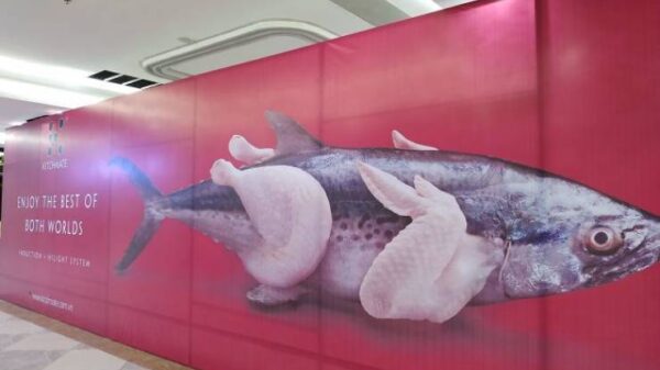 Niet alle designers beschikken over het nodige vakmanschap