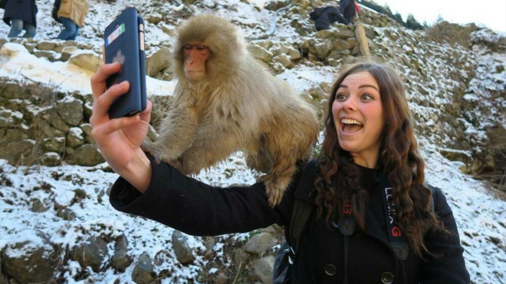 Picdump (4092)