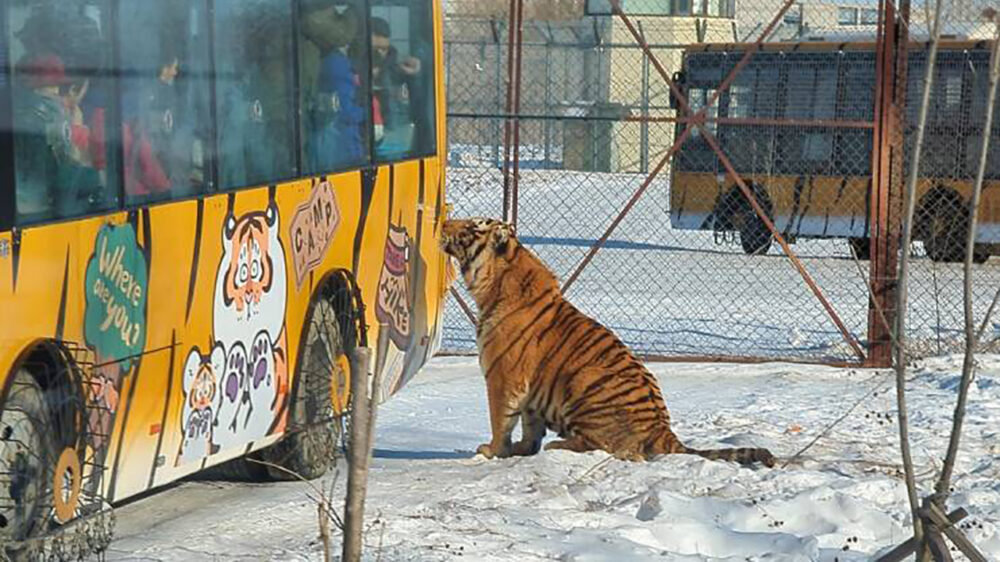 Picdump (4093)