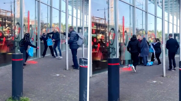 Pro-Palestijnen bekladden Hoftoren Den Haag, omstanders grijpen in