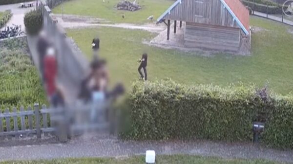 Terorrjeugd gooit met kippen in Hertenkamp Mierlo, beheerder furieus na beelden