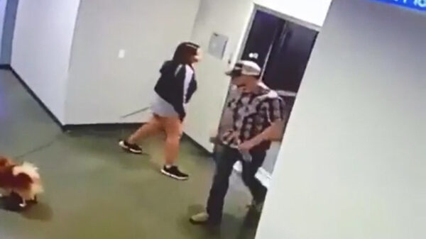 Held redt hondje van onoplettende muts en zorgt dat hij niet opgehangen wordt!