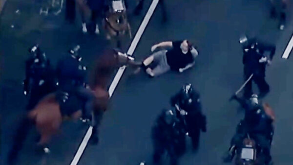 Man door politiepaarden 'vertrapt' tijdens protesten in Los Angeles