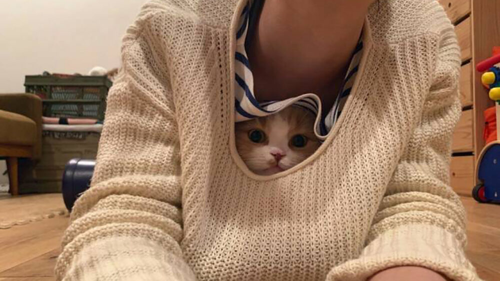Picdump (4122)