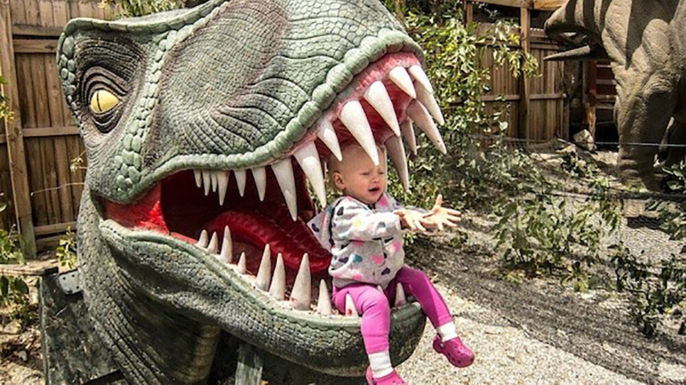 Picdump (4123)