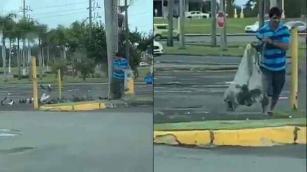 Zo, dat kerstdiner is ook weer geregeld