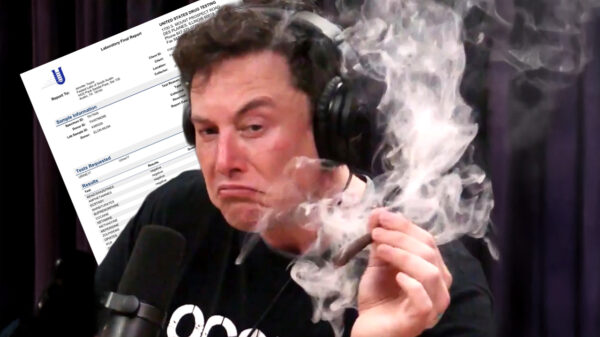 Elon Musk test negatief op drugs na geruchten over bizarre gedrag: "Lol"