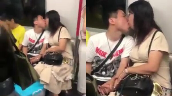 Kan iemand ons vertellen wat deze tortelduifjes in godsnaam aan het doen zijn?