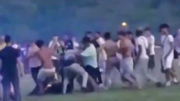 Geweldsexplosie in park: Agenten belaagd en mishandeld met metalen staaf