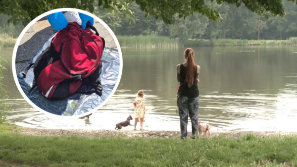 Dode kat in water Eindhoven gevonden met halter van 5 kilo om z'n nek