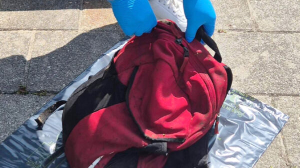 Dode kat in water Eindhoven gevonden met halter van 5 kilo om z'n nek