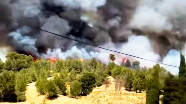 Zuid-Frankrijk staat in de fik: snelwegen dicht en campings ontruimd