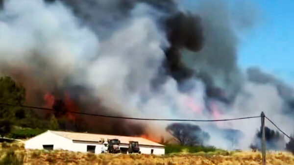 Zuid-Frankrijk staat in de fik: snelwegen dicht en campings ontruimd