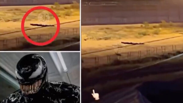 Bizarre 'Venom'-achtig monster duikt op bij de grensstreek