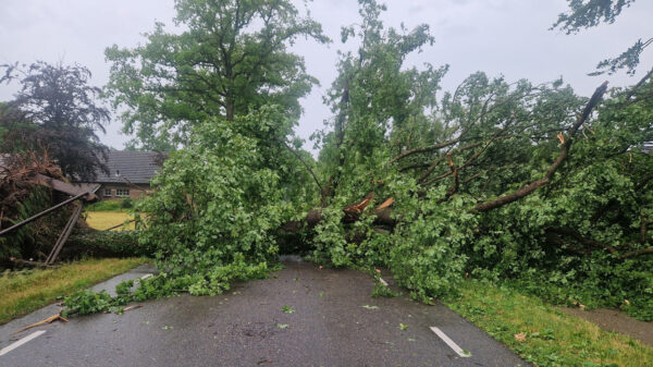 Zware storm teistert Winterswijk: schade, paniek en een hoop engeltjes
