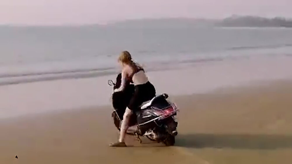 Gifdump (2021)