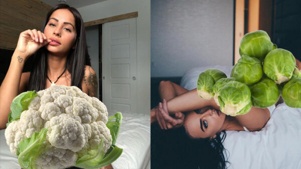 Een hoop lekkers in lingerie (15)