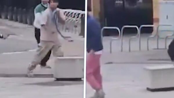 Vier gewonden en acht arrestaties na steekpartij bij bushalte in Lommel