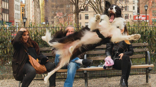 Picdump (4171)