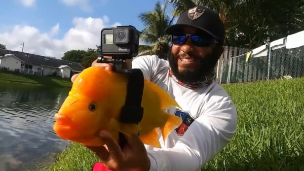 Een GoPro op een vis vastbinden zorgt voor vermakelijke onderwaterbeelden