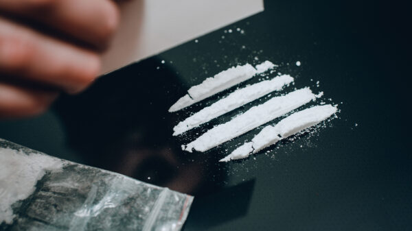 Rotterdam snuift iets minder, maar nog steeds 59.000(!) lijntjes per dag