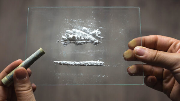 Rotterdam snuift iets minder, maar nog steeds 59.000(!) lijntjes per dag