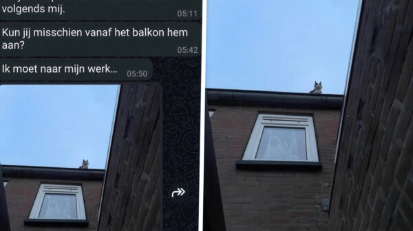 20 gesprekken waardoor je je telefoon spontaan op vliegtuigmodus zet