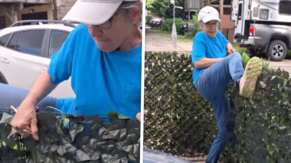 Krankzinnige buurvrouw jaagt man tot waanzin met inbraken en vernielingen