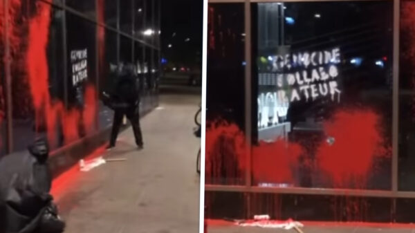 Activisten geven verzekeringsmaatschappij Rotterdam gratis renovatie met knuppels