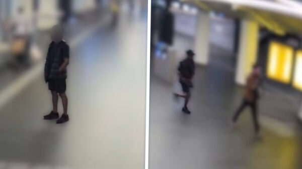 Laffe hond beukt willekeurige reiziger tegen de vlakte op Amsterdam Centraal