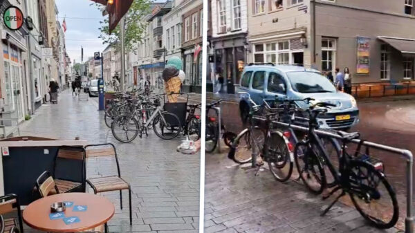 Idioot met bestelbusje rijdt in op twee politiepaarden in Den Bosch