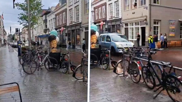 Idioot met bestelbusje rijdt in op twee politiepaarden in Den Bosch