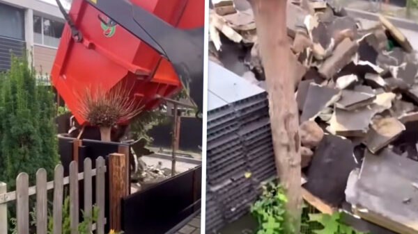 Rekeningen niet betalen is je voortuin in een stortplaats veranderen