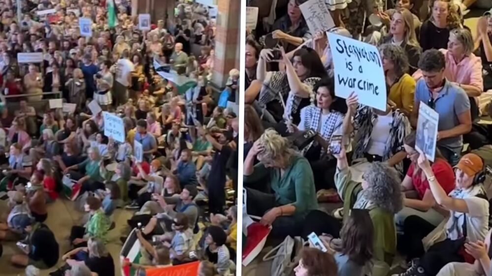 Pro-Palestina protestgolf overspoelt alle Nederlandse stations in één avond