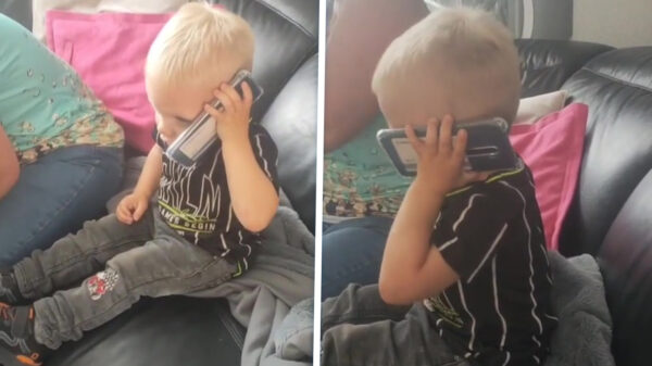 Eindelijk: Ziggo-verkoper ontmoet klant die niet om de tuin te leiden is