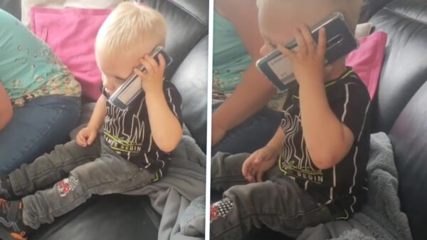 Eindelijk: Ziggo-verkoper ontmoet klant die niet om de tuin te leiden is