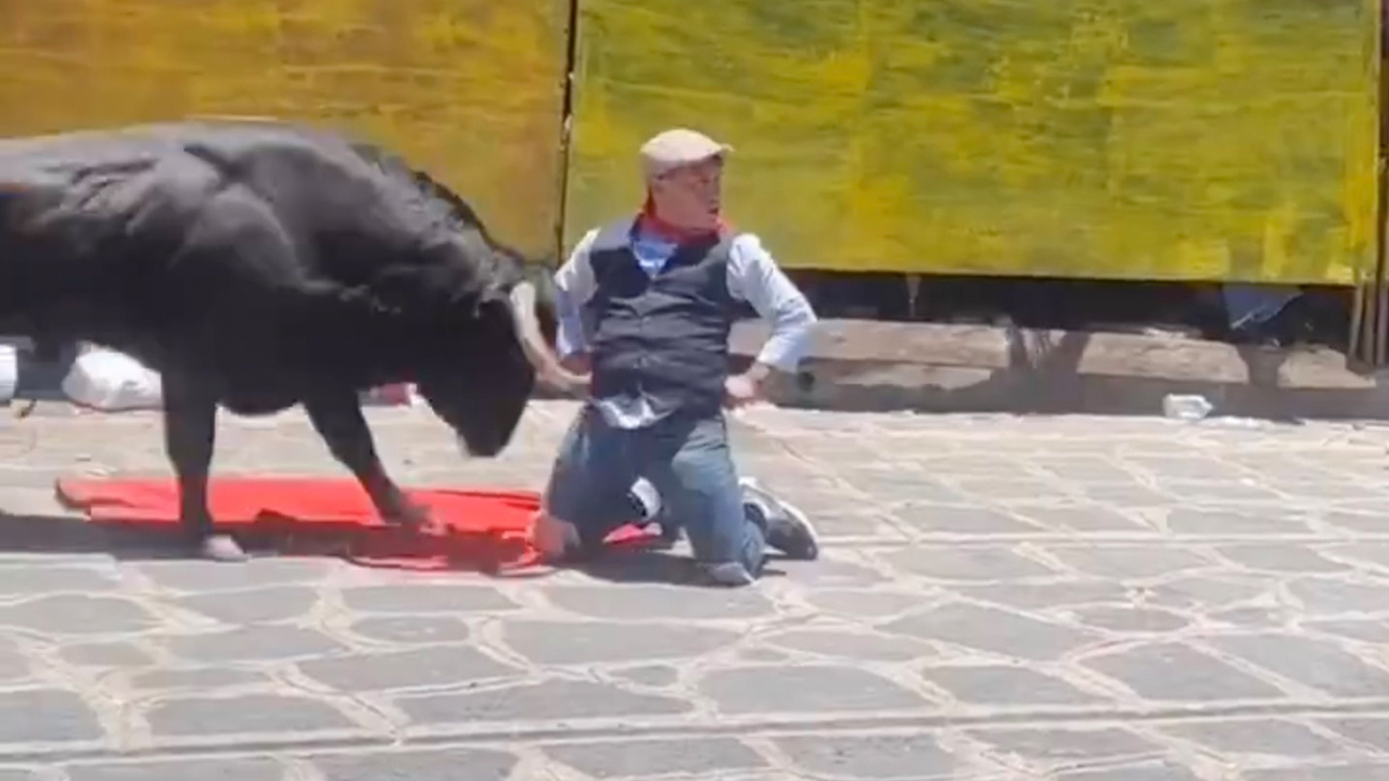 Gruwelijke beelden uit Mexico: Stier krijgt hulp uit onverwachte hoek