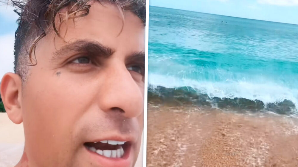 Tsunami-watch: Rarri a.k.a. Armoo houdt voor ons de wacht in Hawaii