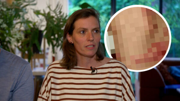 6-jarige jongen vermoedelijk gegrepen door wolf bij Austerlitz