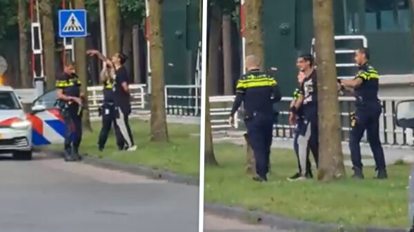 Viespeuk opgepakt in Ter Apel na ongewenste onthulling van 'derde been'