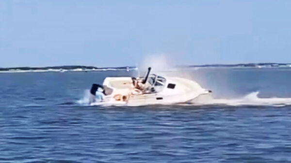 Walvis sterft na aanvaring met boot voor de kust van New Jersey