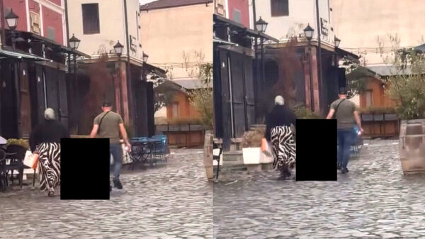 'Nederlandse vader die dochter aan haren meesleurt aangeklaagd in Albanië'