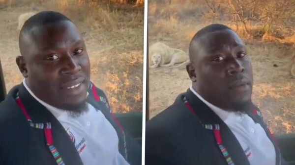 POV: Als je auto tijdens safari ineens zonder benzine komt te staan