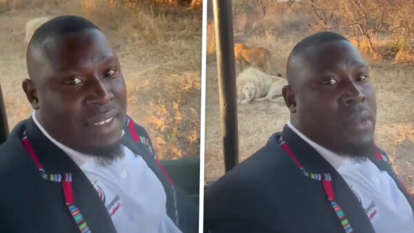 POV: Als je auto tijdens safari ineens zonder benzine komt te staan