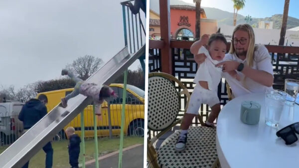 Vaders met reflexen waar zelfs de keeper van Oranje jaloers op is